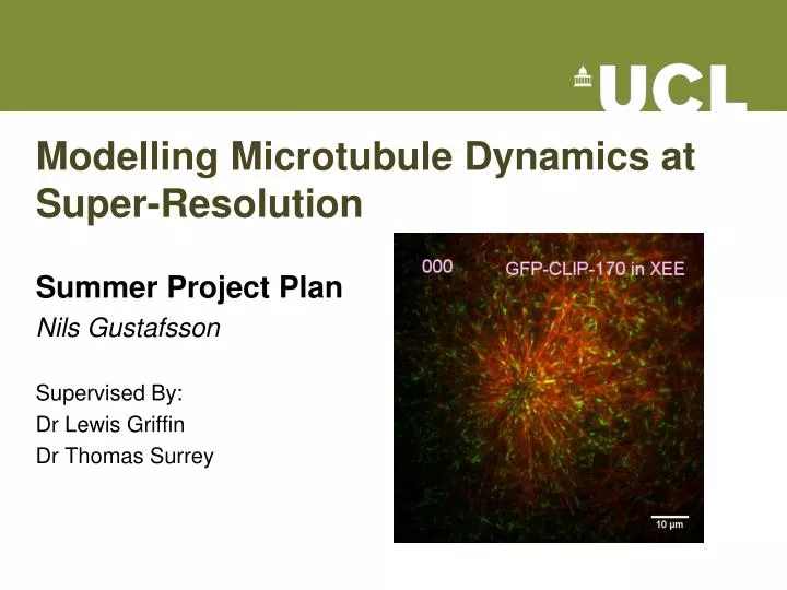 modelling microtubule dynamics at super resolution