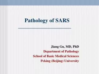 Pathology of SARS
