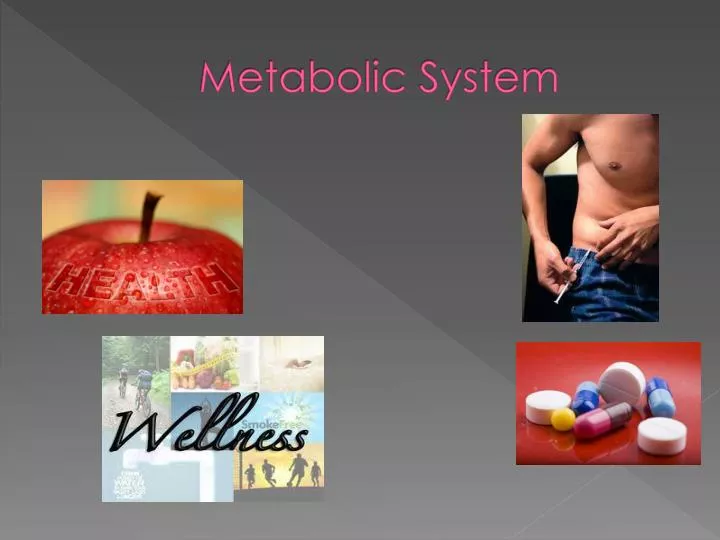 metabolic system