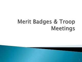 Merit Badges &amp; Troop Meetings