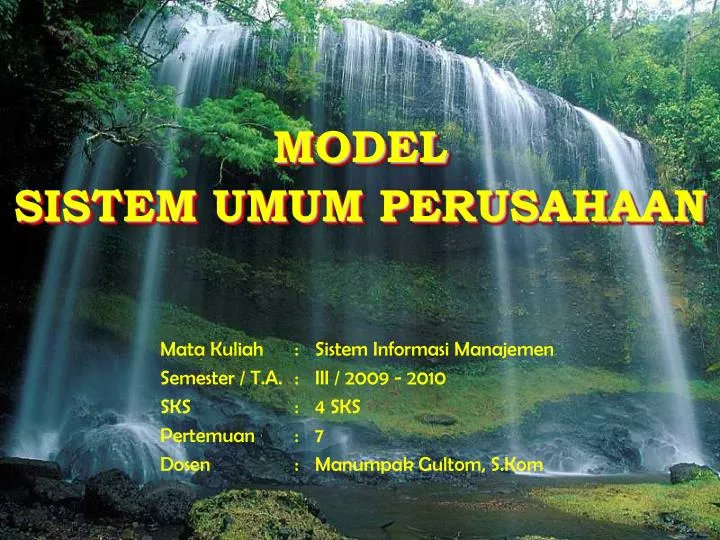 model sistem umum perusahaan