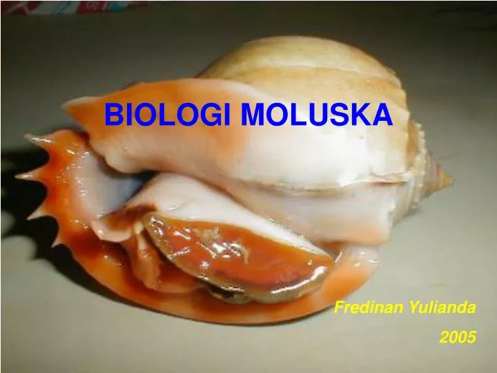 biologi moluska