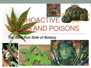 Psychoactive Drugs and Poisons