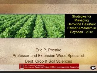 Strategies for Managing Herbicide Resistant Palmer Amaranth in Soybean - 2012