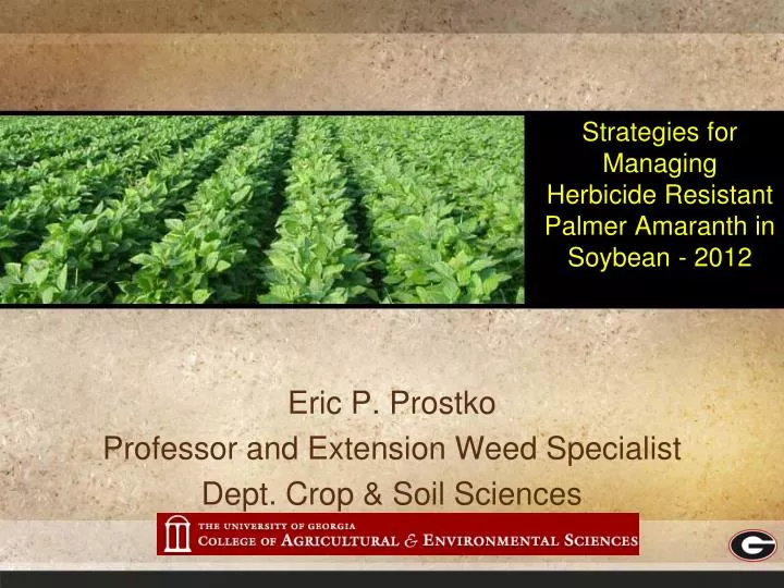 strategies for managing herbicide resistant palmer amaranth in soybean 2012
