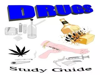 Study Guide