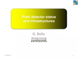 Pixel detector status and infrastructures
