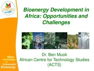 Bioenergy Development in Africa: Opportunities and Challenges