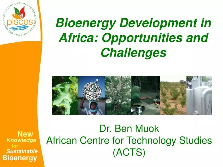 bioenergy development in africa opportunities and challenges