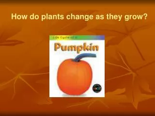 How do plants change as they grow?