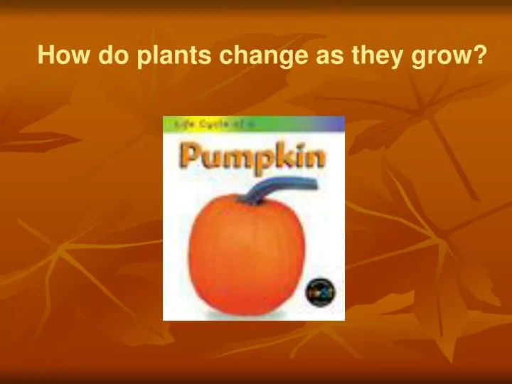 how do plants change as they grow