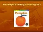 How do plants change as they grow?