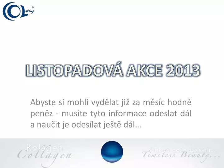 listopadov akce 2013