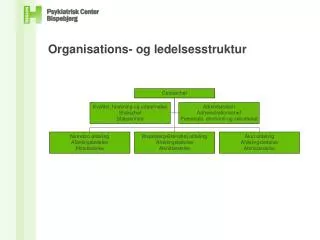 Organisations- og ledelsesstruktur