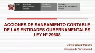 ACCIONES DE SANEAMIENTO CONTABLE DE LAS ENTIDADES GUBERNAMENTALES LEY Nº 29608