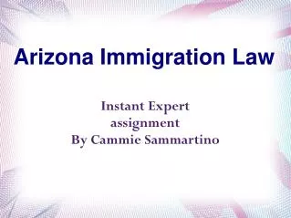 Arizona Immigration Law