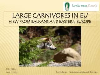 Large carnivores in EU view from Balkans and eastern Europe