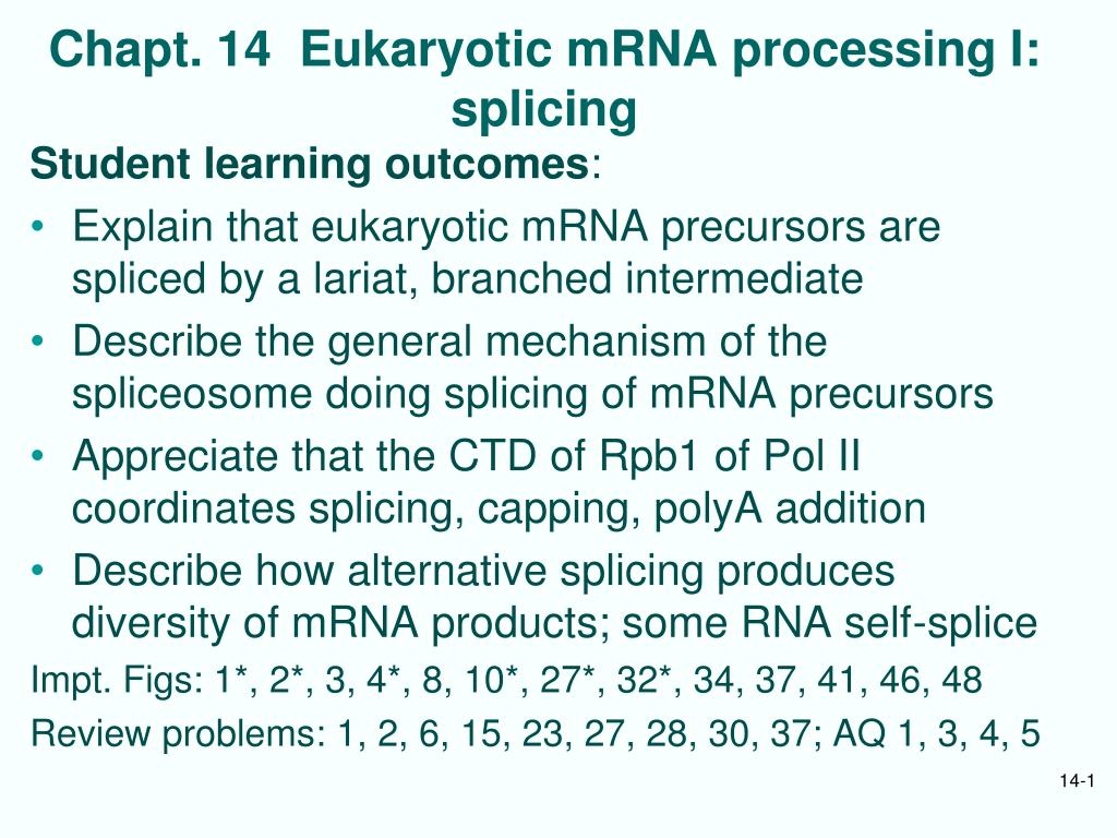 PPT - Chapt. 14 Eukaryotic mRNA processing I: splicing PowerPoint ...