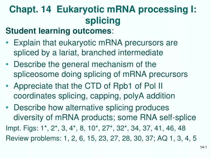 chapt 14 eukaryotic mrna processing i splicing