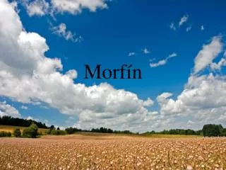 Morfín