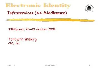 Infraservices (AA Middleware)