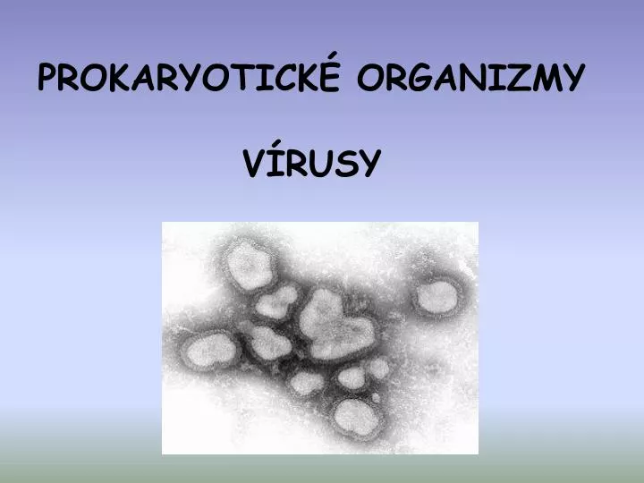 prokaryotick organizmy v rusy
