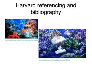 Harvard referencing and bibliography