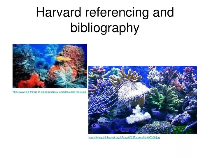 harvard referencing and bibliography