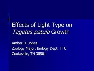 Effects of Light Type on Tagetes patula Growth