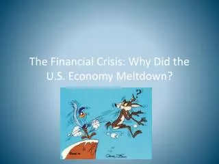 The Financial Crisis: Why Did the U.S. Economy Meltdown?