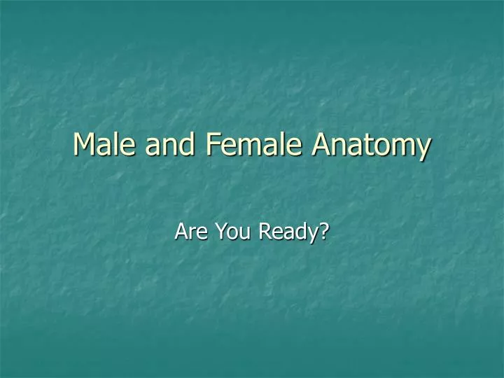 male and female anatomy