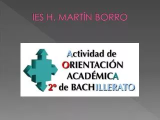 IES H . MARTÍN BORRO
