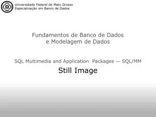 SQL Multimedia and Application  Packages — SQL/MM