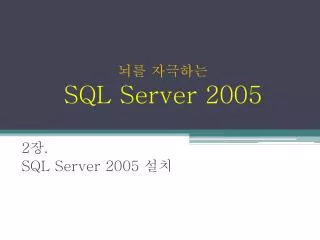 뇌를 자극하는 SQL Server 2005