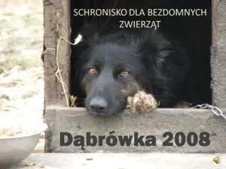 dabrowka