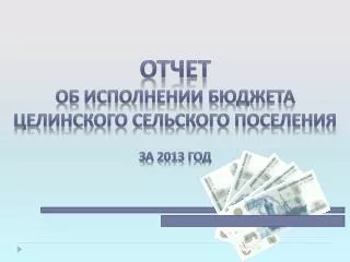 Отчет об исполнении Бюджета Целинского сельского поселения за 2013 год