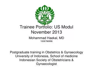 Trainee Portfolio: US Modul November 2013