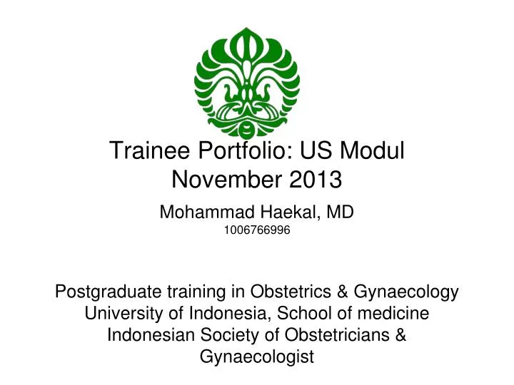 trainee portfolio us modul november 2013