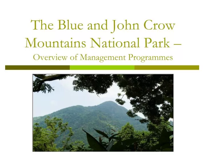 the blue and john crow mountains national park overview of management programmes