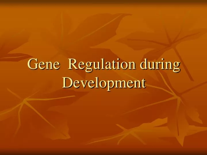 gene regulation during development