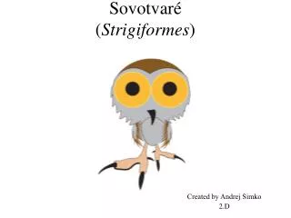 Sovotvaré ( Strigiformes )