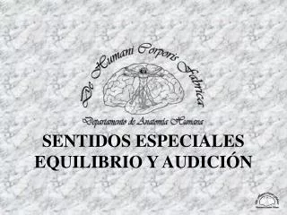 SENTIDOS ESPECIALES EQUILIBRIO Y AUDICIÓN
