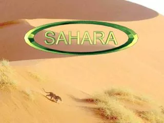 Si je vous demande :  « Le Sahara, qu’est-ce que cela évoque, pour vous ? » Je pense que vous me