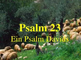 Psalm 23 Ein Psalm Davids