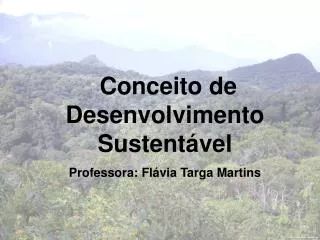 Conceito de Desenvolvimento Sustentável Professora: Flávia Targa Martins