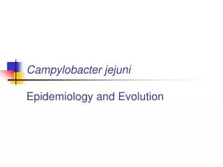 Campylobacter jejuni Epidemiology and Evolution