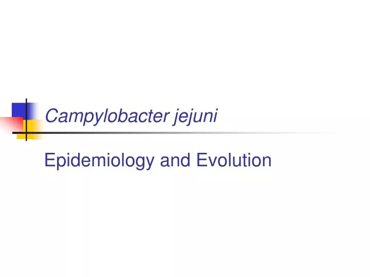 campylobacter jejuni epidemiology and evolution