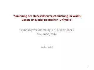 Gründungsversammlung « IG- Quecksilber  » Visp 9/06/2014