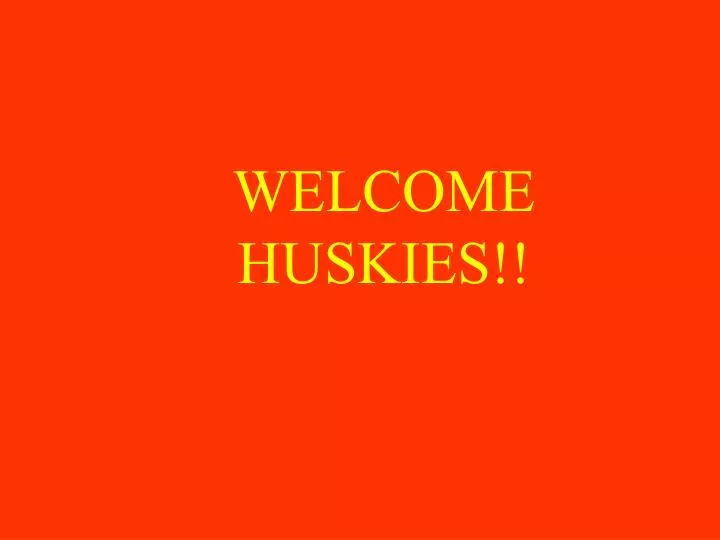 welcome huskies