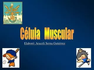 Célula Muscular